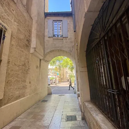 Hirondelle De * Montpellier