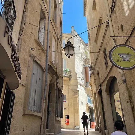 Hirondelle De Montpellier