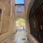 Hirondelle De * Montpellier