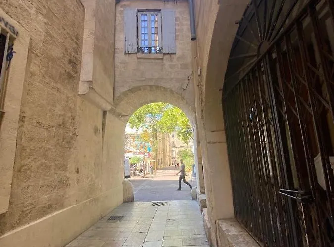 Hirondelle De * Montpellier